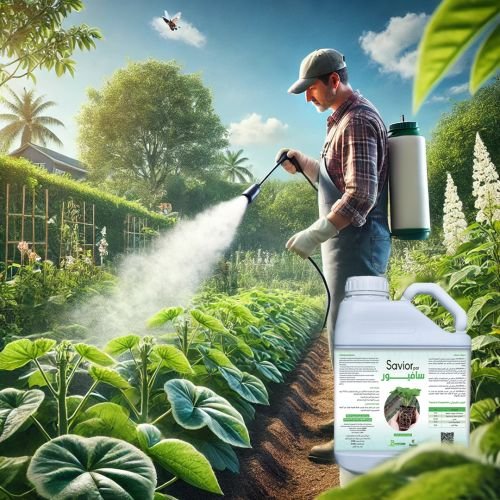 المفتاح لزراعة صحية