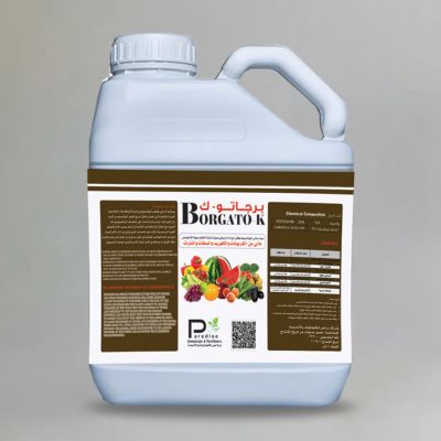 بـرجـــاتــــو- ك