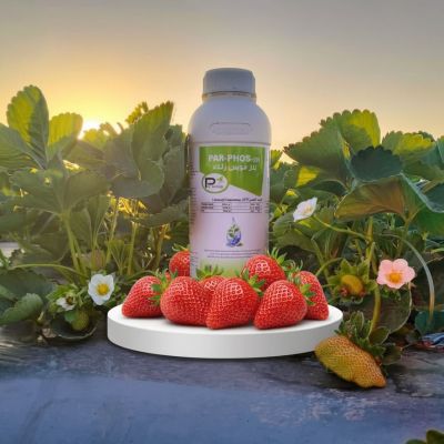 بار فوس زنك